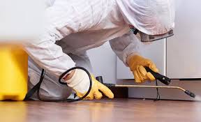 Best Residential Pest Control  in Vinton, LA